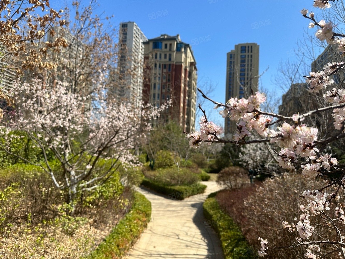 齐盛湖畔湖景房俯瞰齐盛湖全貌玉兰园135平185万送车储