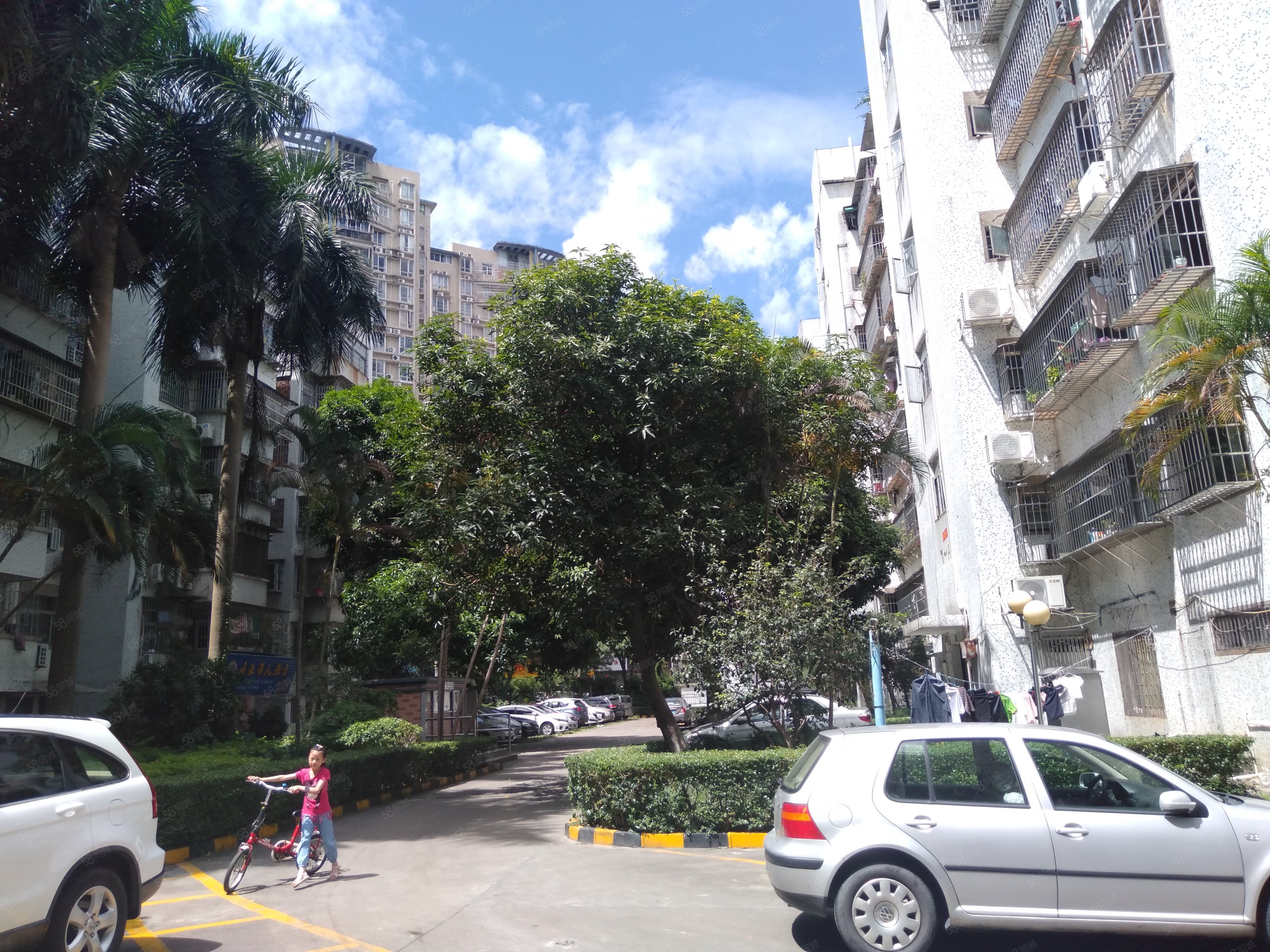 看房有钥匙送单车房金溪花园中间层3房出售