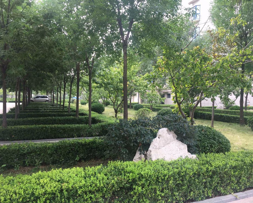 【五洲花园, 五洲花园小区详情,房价走势,房源,业主论坛】- 潍坊58