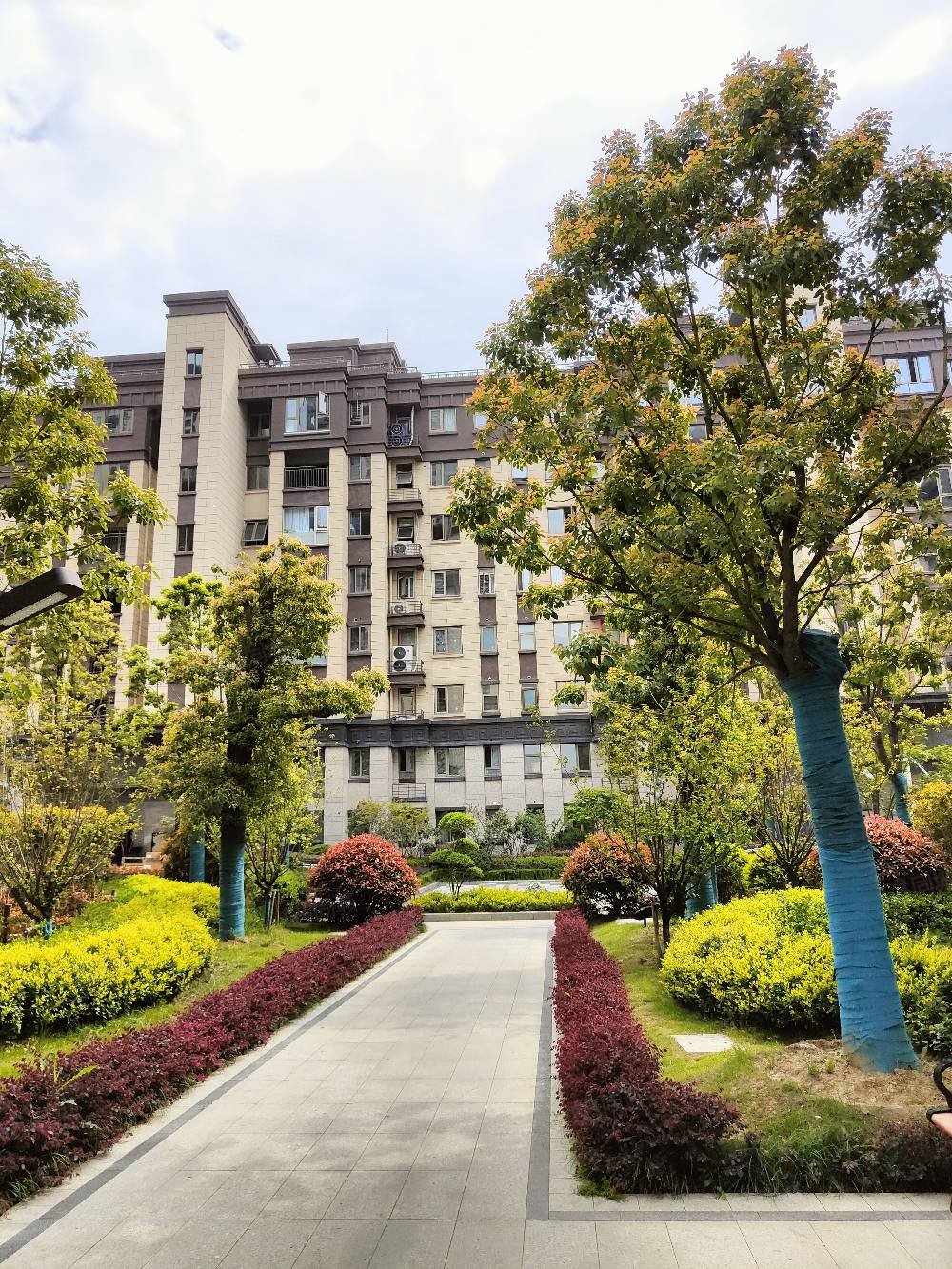 房主亏本甩卖万达广场六安环球港电梯洋房皋城小初双本部