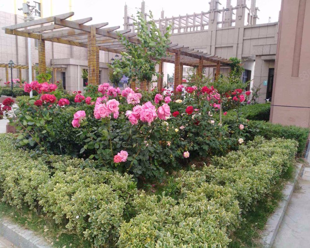 阳光花园平邑