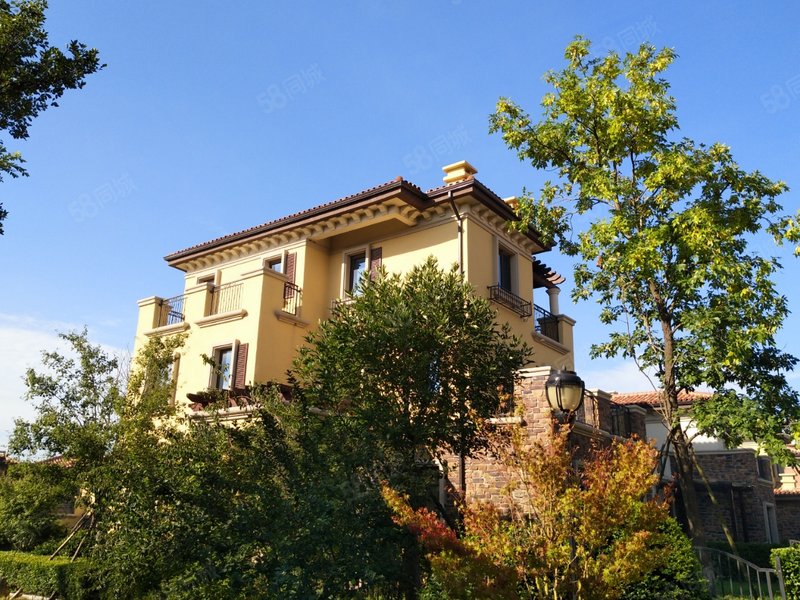 蓝谷小独栋320万,206平,带院子带露台.