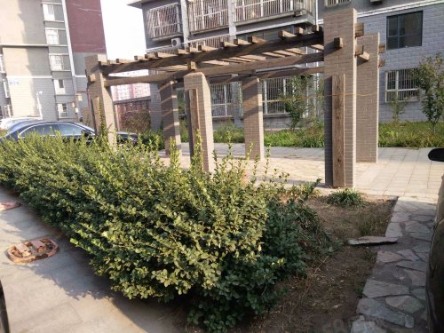 【海德花园房价走势,海德花园房屋出租,海德花园二手房出售】- 迁西58