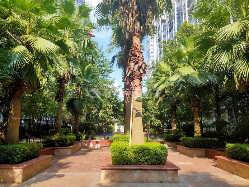 华新核心 祝融小学 愉景湾东域3室2厅1卫 精装修 户型方