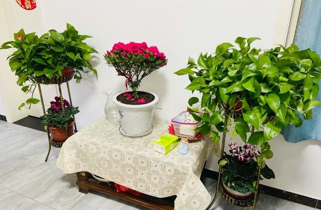 西苑新村(巢湖)2室1厅67㎡26万二手房图片