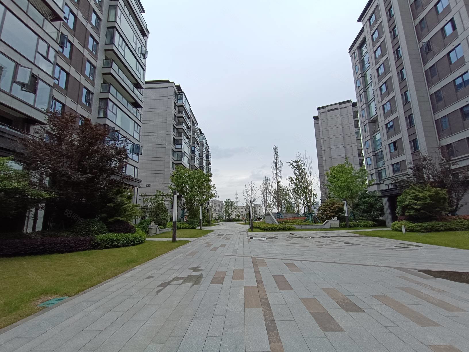 总价低城西电梯洋房新力帝泊湾四间朝南随时看房