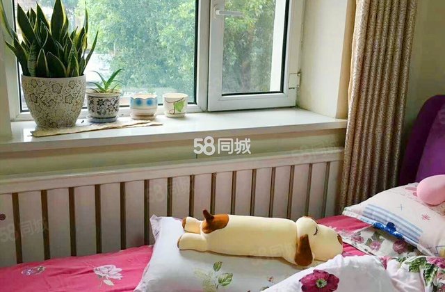 西昌小区(东区)2室1厅50㎡32万二手房图片