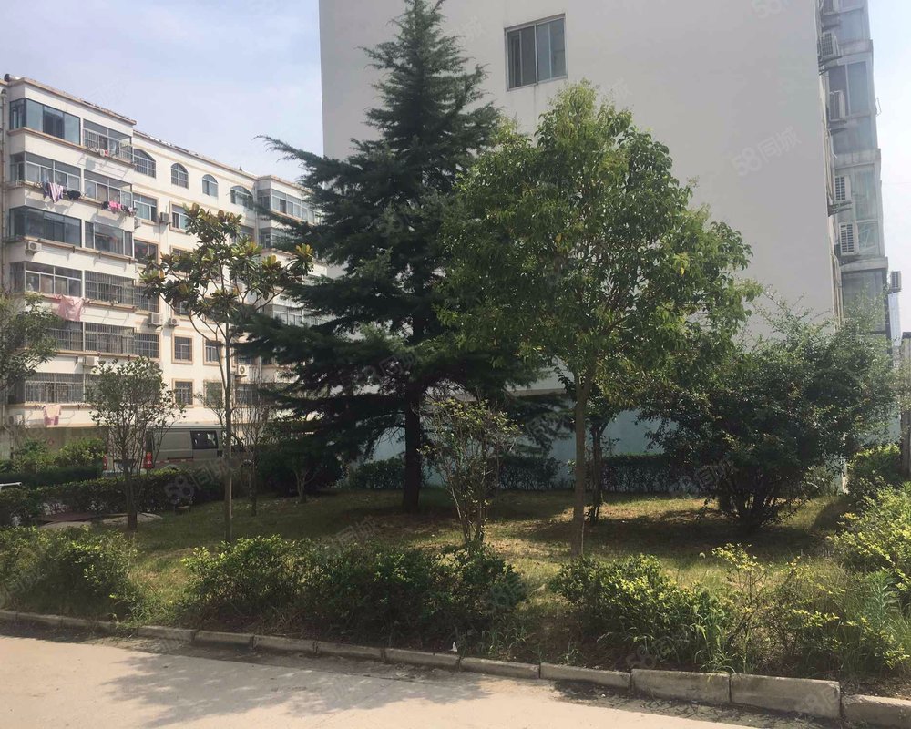 【台东花园东区, 台东花园东区小区详情,房价走势,房源,业主论坛】