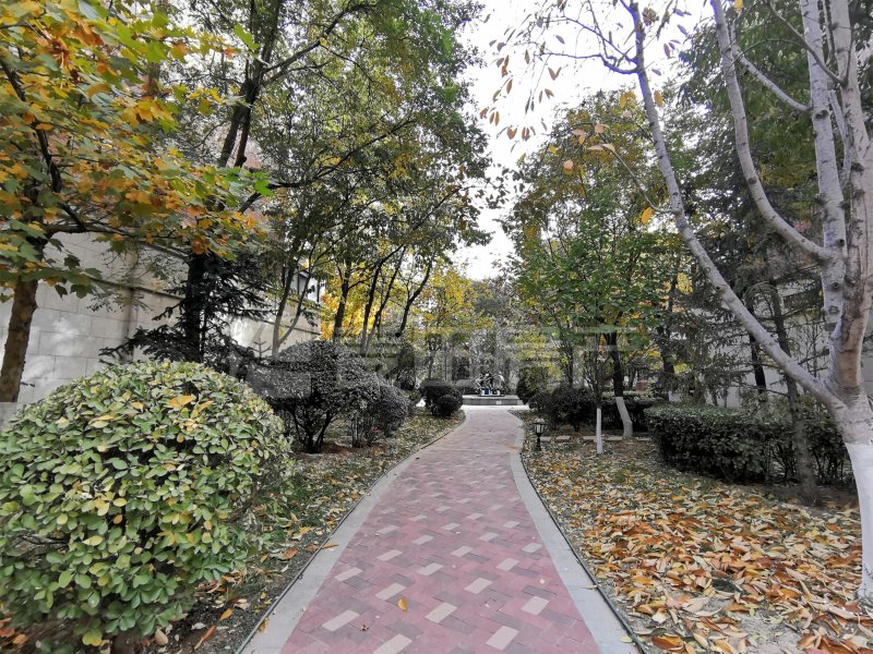 金隅翡麗華庭4室2廳2衛(wèi)161.87㎡南北999萬