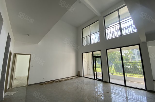 儒辰辰悦 复试洋房市内  一套 带院子 挑空客厅