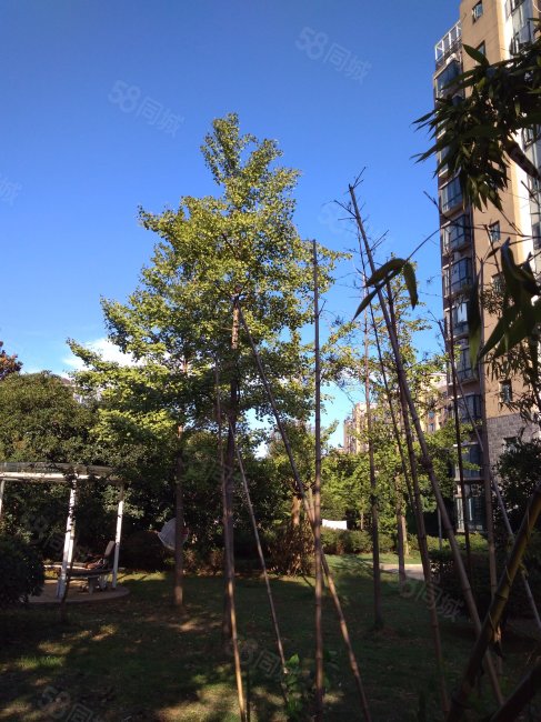 户型方正 通透格局 小区中间 采光好,阅城国际花园悠然园-南京58同城