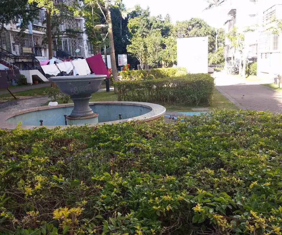 【特房华苑, 特房华苑小区详情,房价走势,房源,业主论坛】- 厦门58