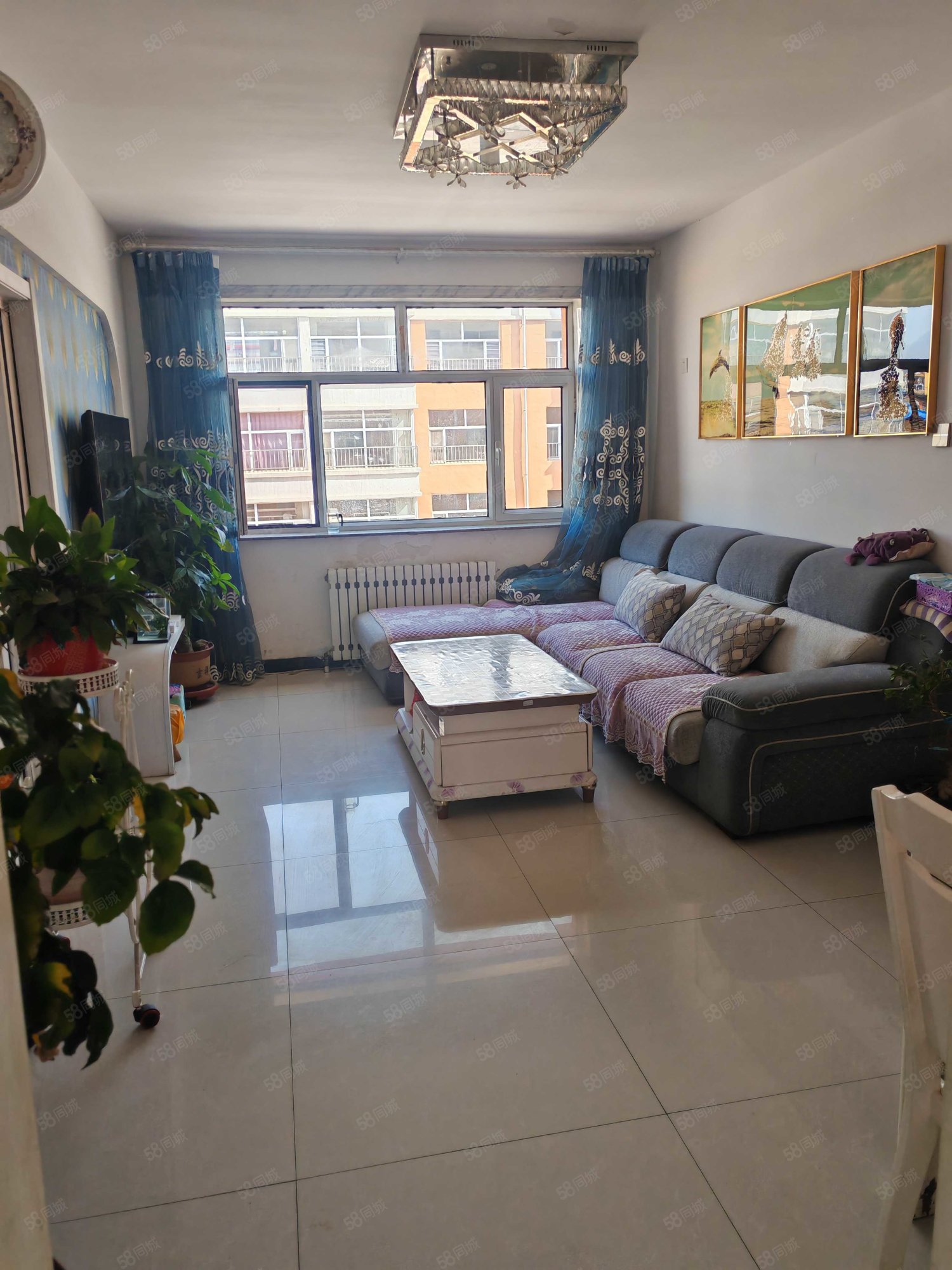 龙泽花园2室1厅1卫89.15㎡南北30万