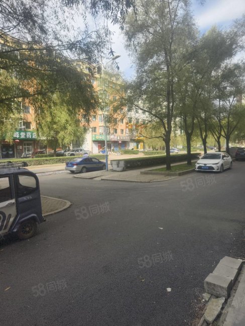 凤凰城(海林)2室1厅1卫83㎡南北23.5万