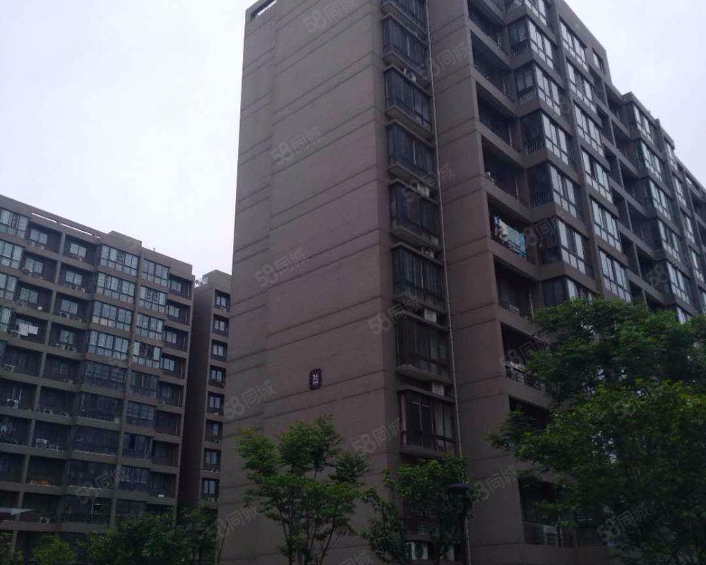 【中央华庭, 中央华庭小区详情,房价走势,房源,业主论坛】- 郯城58