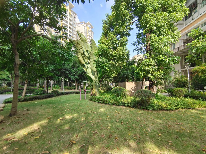 轻轨站旁东田丽园3房只售175万 户型实用通风采光好