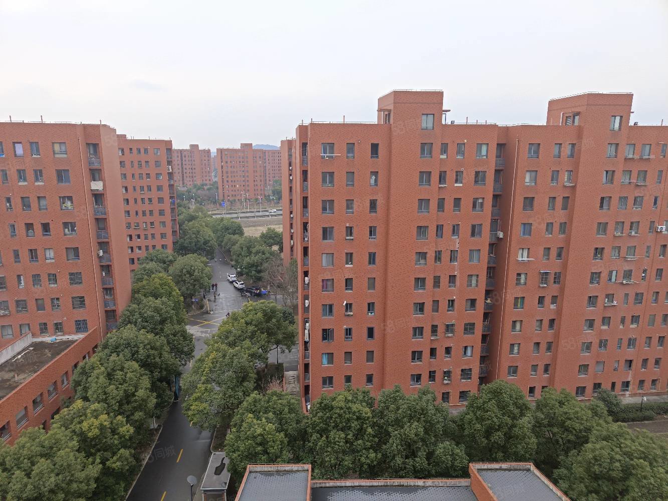 佘北家园梧桐苑3室2厅2卫116.88㎡南北368万