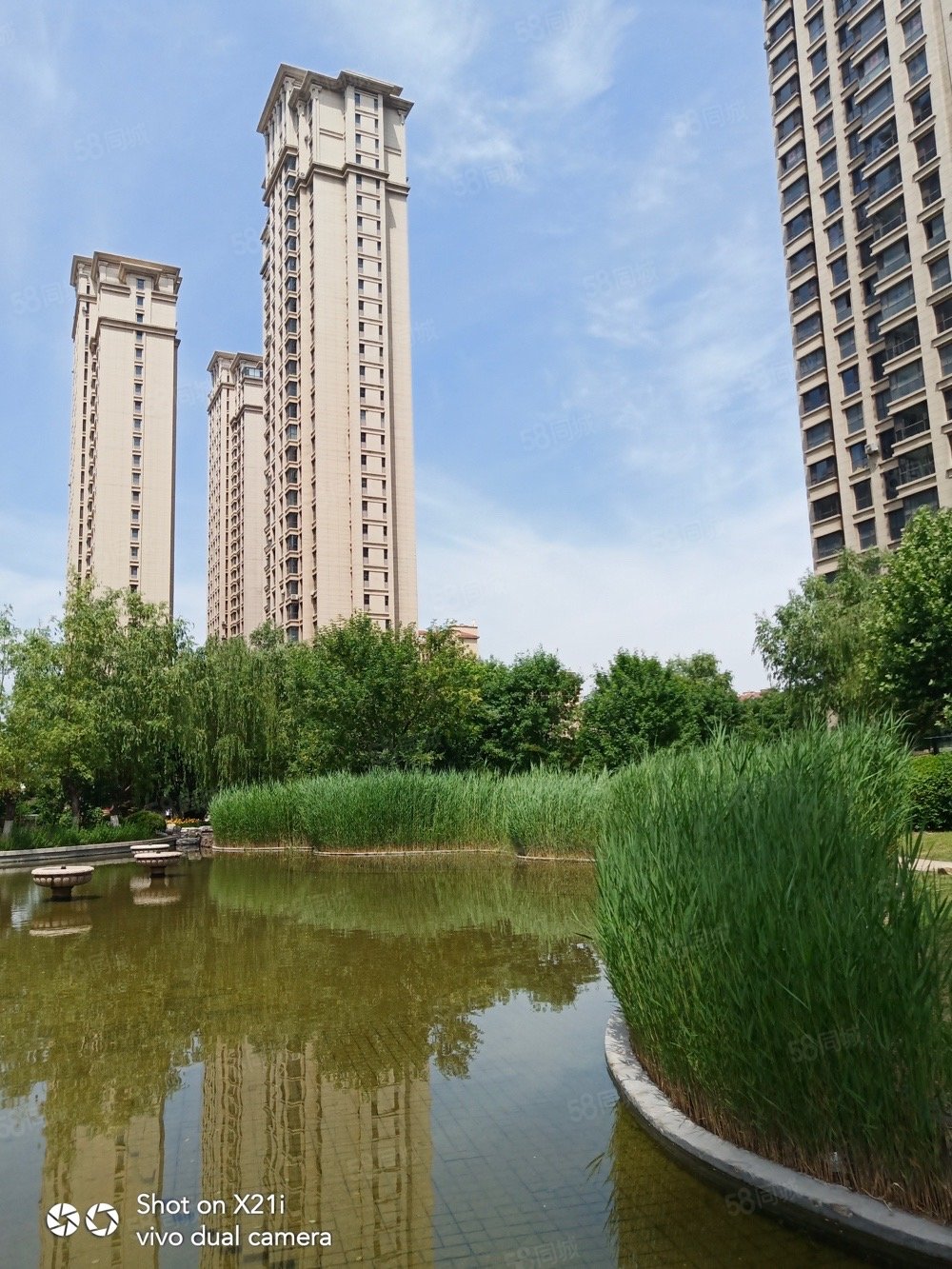 金泰城(三期)3室2厅2卫129㎡南北71.8万