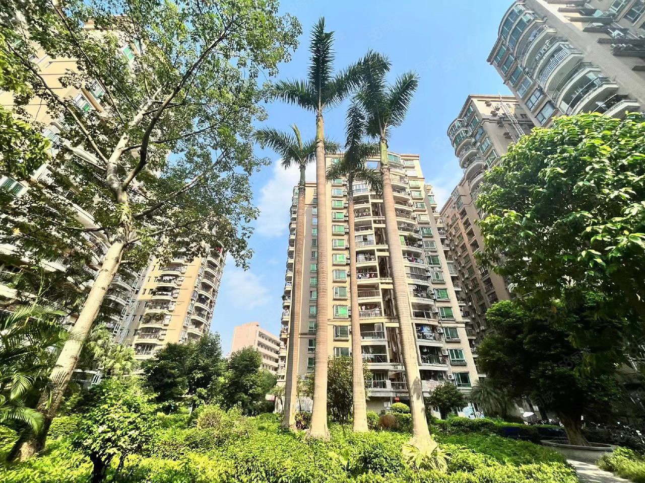 大量房源金桂园精装修2房2厅落地大飘窗看房方便