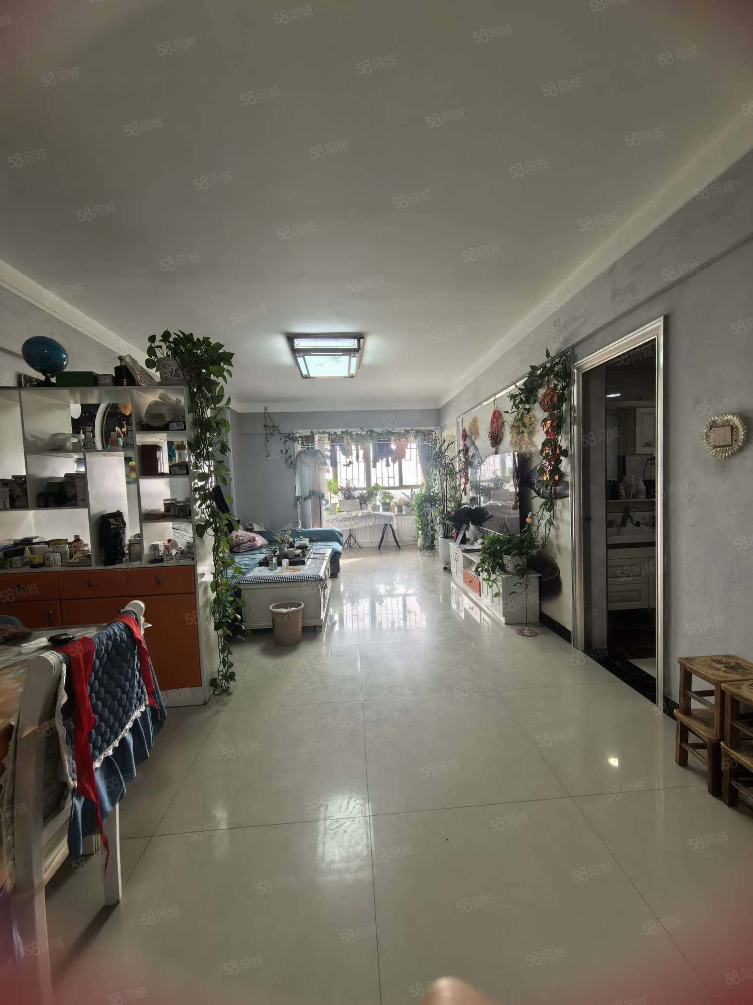 新苑名府2室2厅1卫94.6㎡东西38.8万