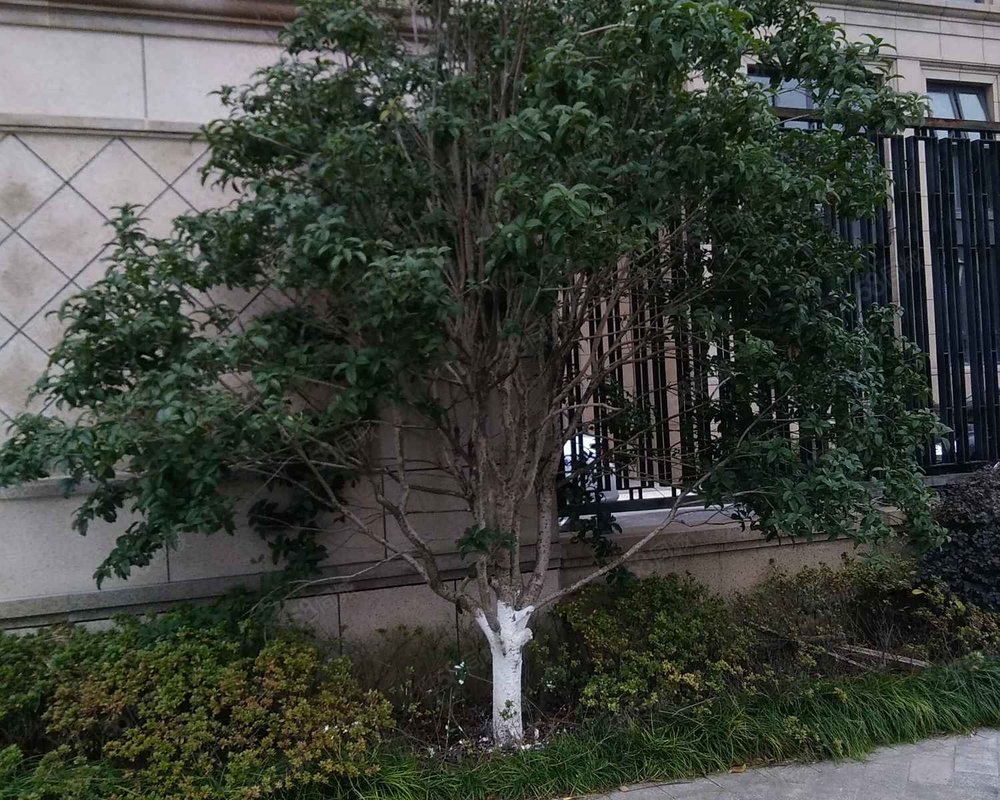 【丹桂花园(象山), 丹桂花园(象山)小区详情,房价走势,房源,业主论坛