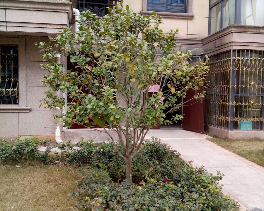 【壶山一品, 壶山一品小区详情,房价走势,房源,业主论坛】- 武义县58