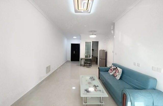 碧桂园翡丽湾 锦绣学府 孝心一楼 三室两厅 免大税