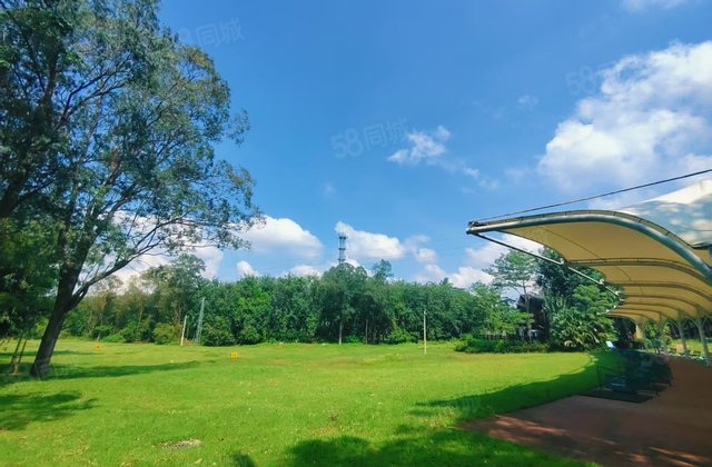 希望木棉湖山海湖国际养生度假区2室1厅35.95㎡35万二手房图片