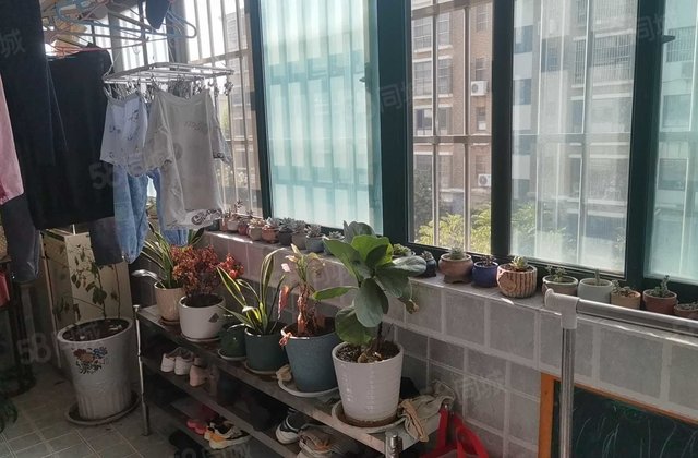 凤凰新城(西区)三居中 大三居双卫 采光好 享受高品质生活