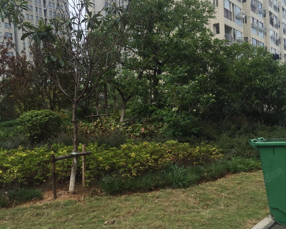 丽水湾(二期)小区详情,房价走势,房源,业主论坛】- 巢湖58同城