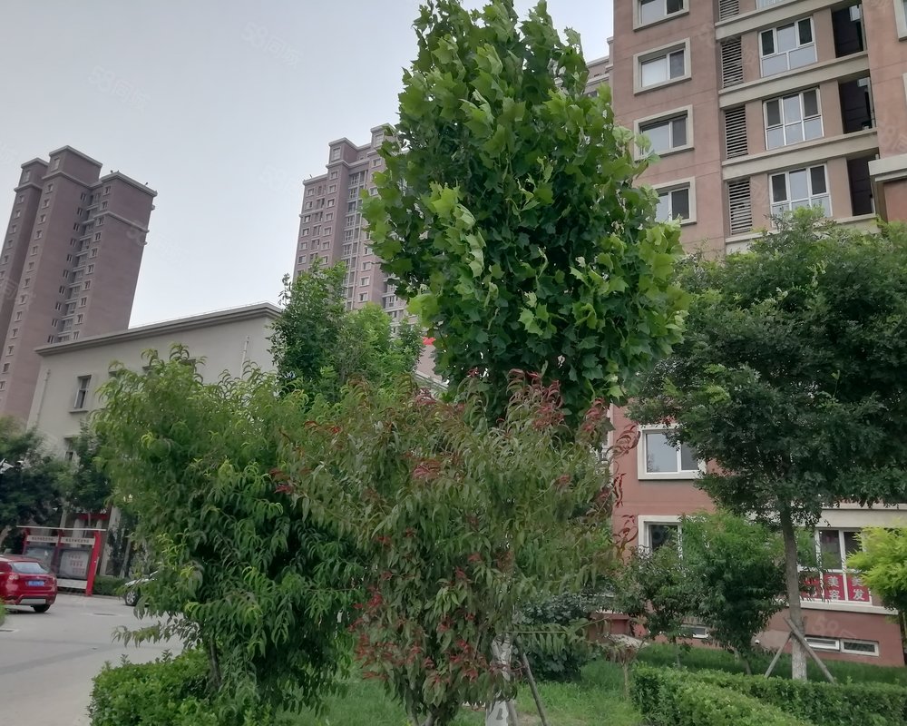 【桃花寺新苑, 桃花寺新苑小区详情,房价走势,房源,业主论坛】- 天津