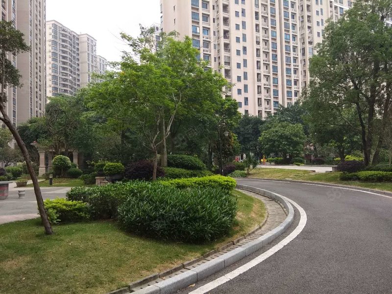 荔湖苑全新大三房,靓楼层望湖.