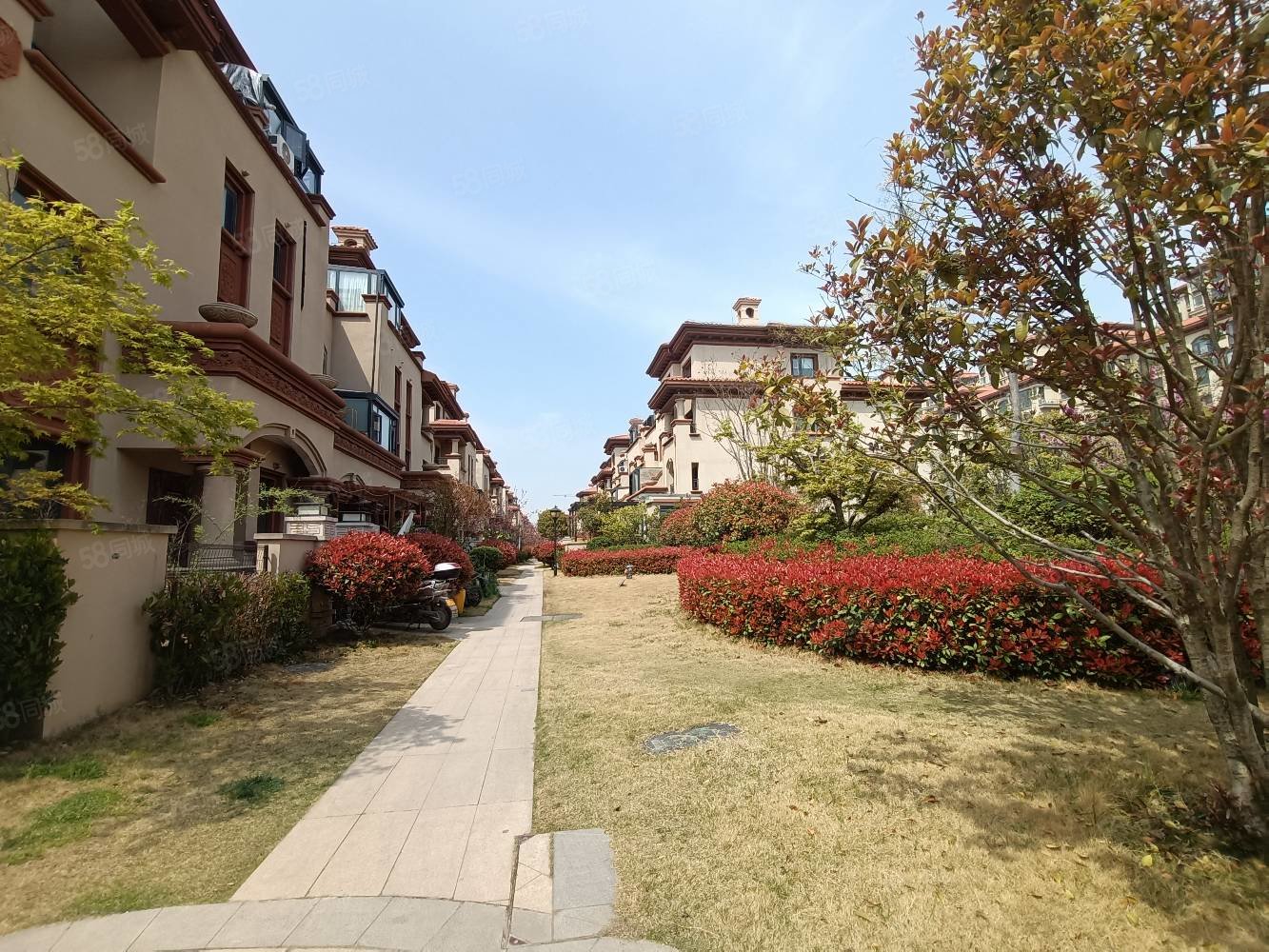 美盛白河湾(别墅)5室2厅3卫212㎡南北430万