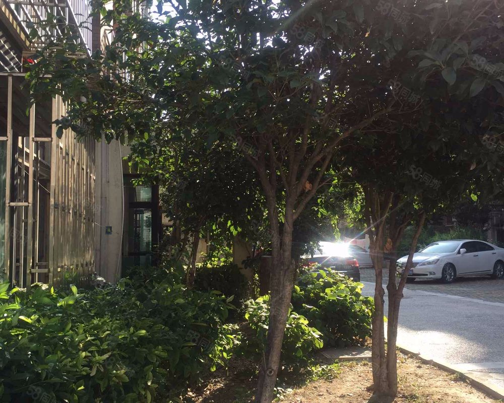 【宝林春天苑, 宝林春天苑小区详情,房价走势,房源,业主论坛】- 上海