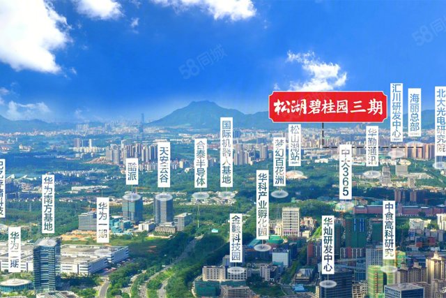 松湖碧桂园三期