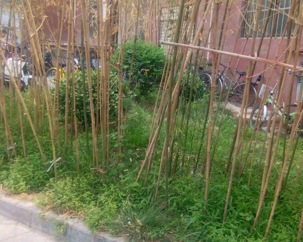 【祭台新苑, 祭台新苑小区详情,房价走势,房源,业主论坛】- 西安58