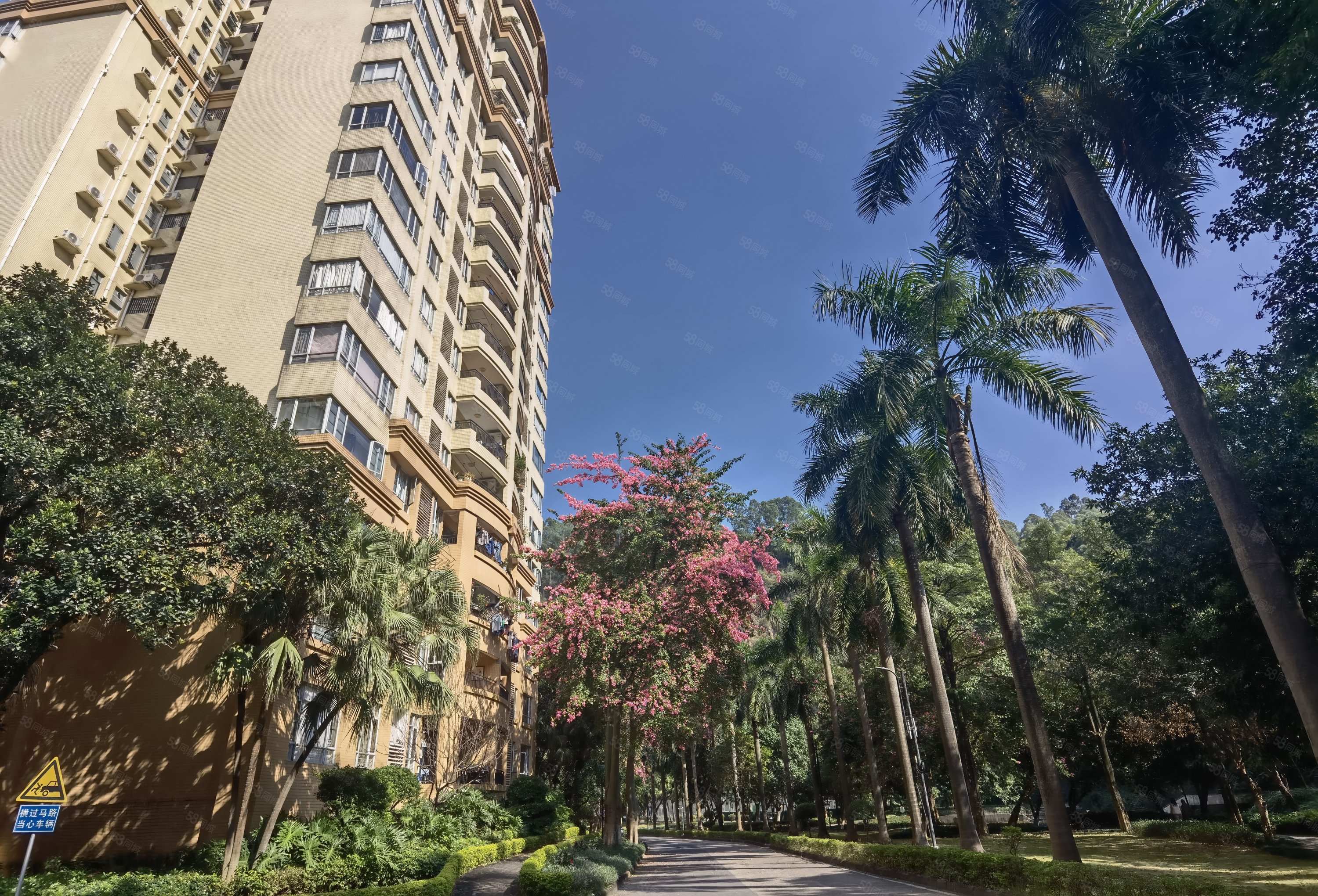 社区 电梯房 小区绿化高 双卫 正规商品房,南湖半岛花园-广州58同城