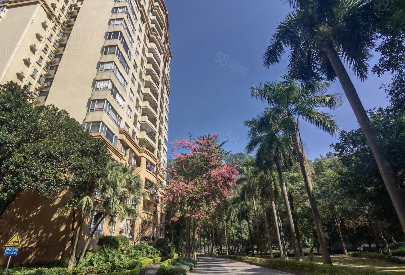 低密度社区 电梯房 小区绿化高 双卫 正规商品房,南湖半岛花园-广州58