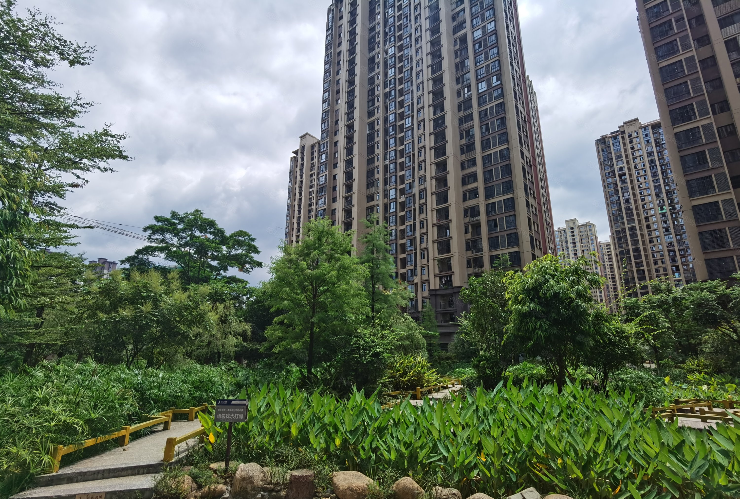 大四房 看中庭 毛坯 免接送 小区配套齐全,紫金莲园-龙岩58同城