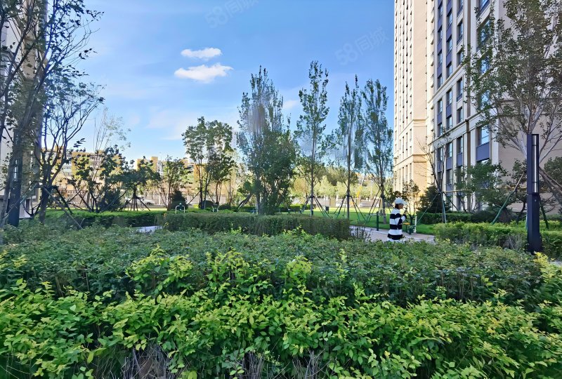 楼层好 房龄新 满五 医疗配套成熟 朝南,融创四季印像-哈尔滨58同城