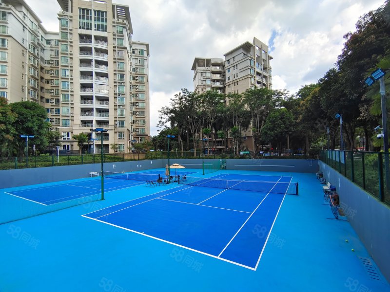 轻轨站旁东田丽园3房只售175万 户型实用通风采光好