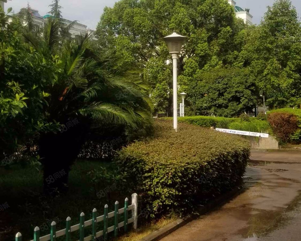 月亮湾城市花园一环以内