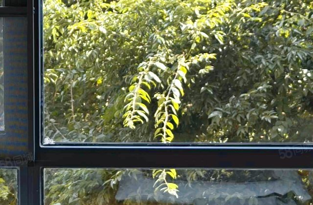 光华锦苑3室2厅130㎡285万二手房图片