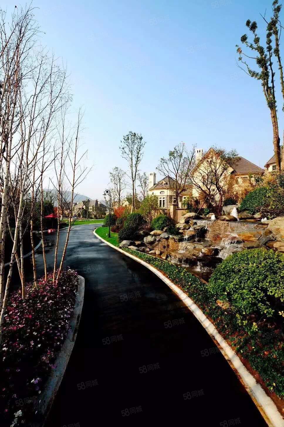 鸿信云深处7室7厅8卫389㎡南北1288万