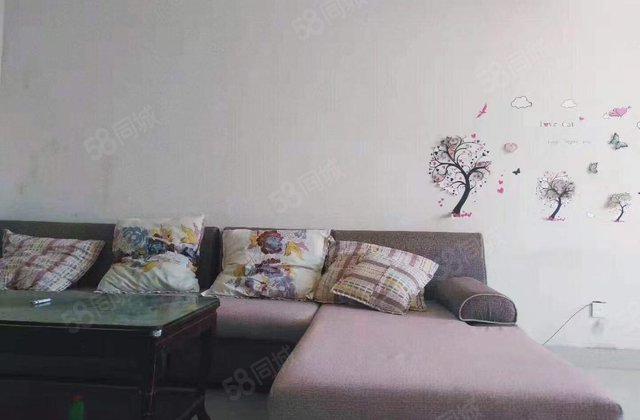 区妇幼 昌润路电梯房 单位房水城雅居 中层 好位置 急售