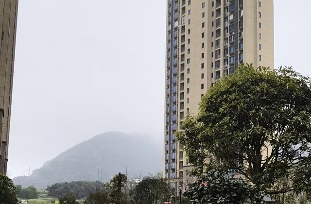 杏福家园4室2厅141.29㎡47万二手房图片