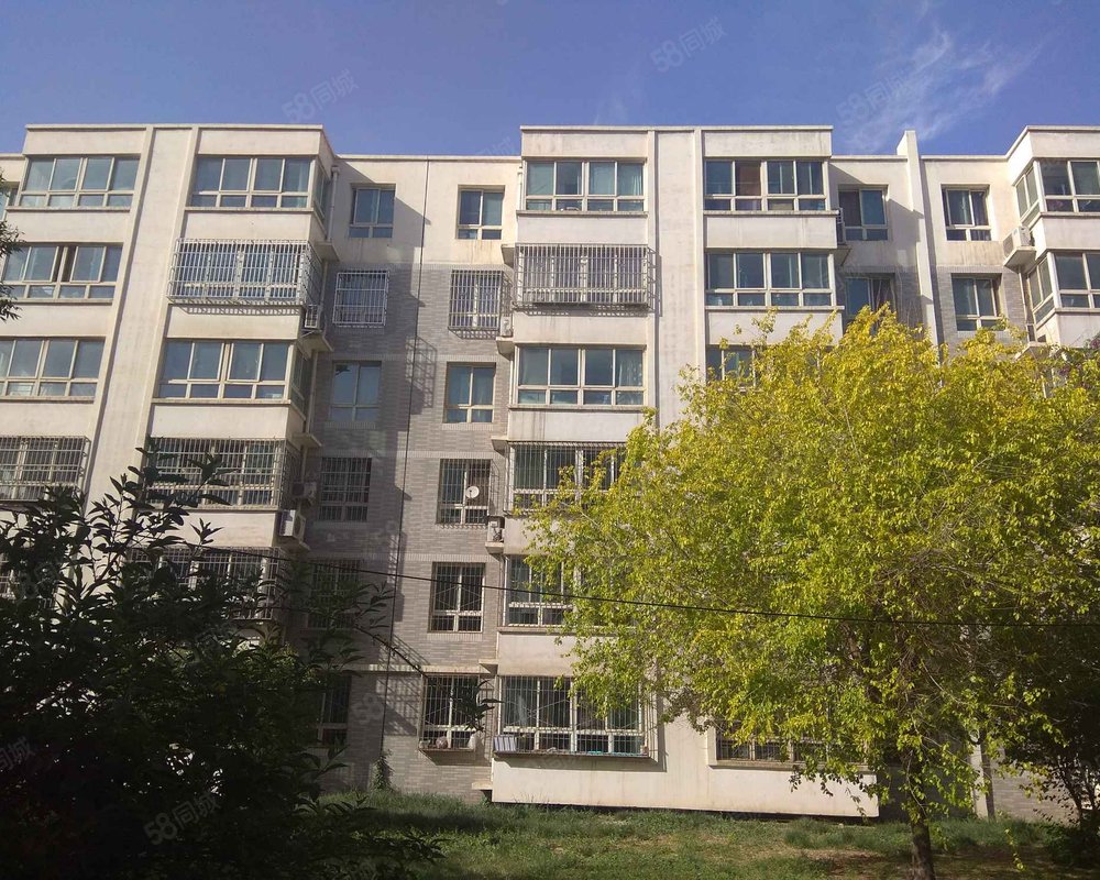 【金茂花园, 金茂花园小区详情,房价走势,房源,业主论坛】- 银川58