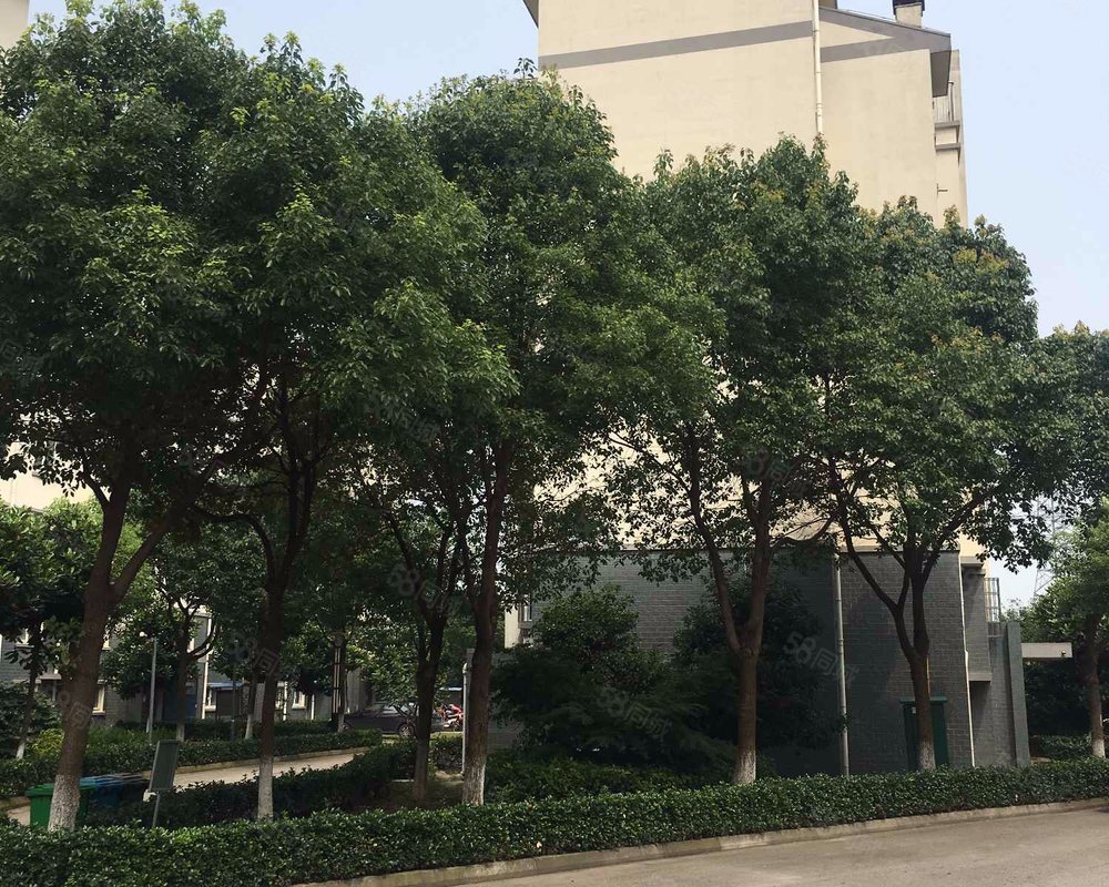 【天逸湾花园, 天逸湾花园小区详情,房价走势,房源,业主论坛】- 上海