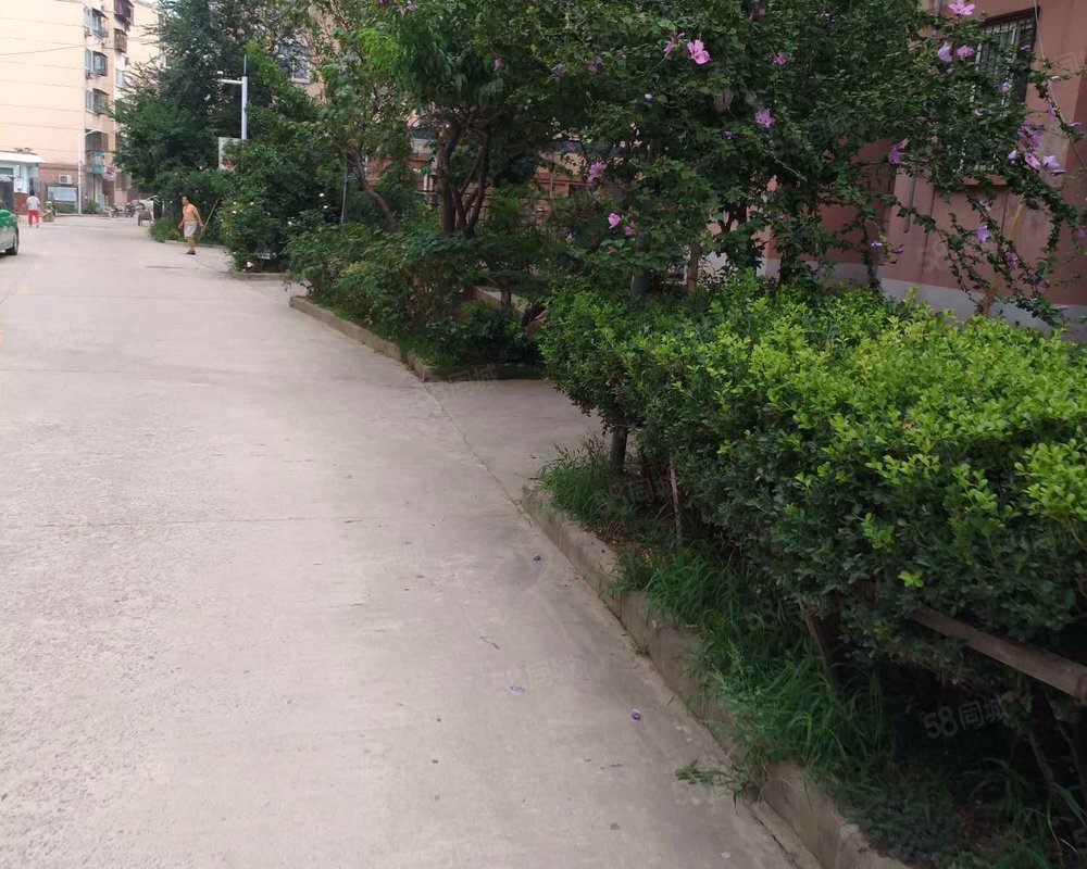 【杏山花园, 杏山花园小区详情,房价走势,房源,业主论坛】- 徐州58