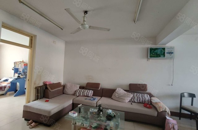 火车站 柳泉花园3楼 3室 眼科医院  实验 金柱绿城